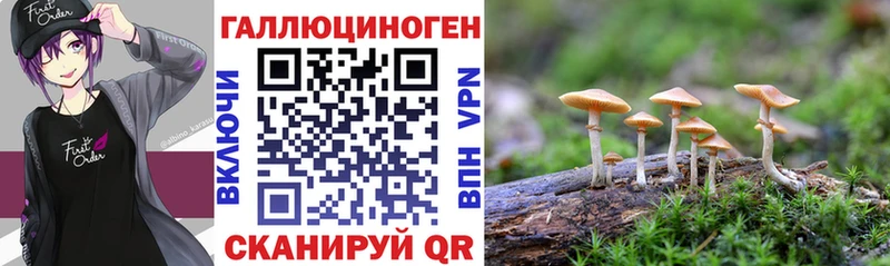 Псилоцибиновые грибы GOLDEN TEACHER  купить  цена  blacksprut ссылки  Куровское 